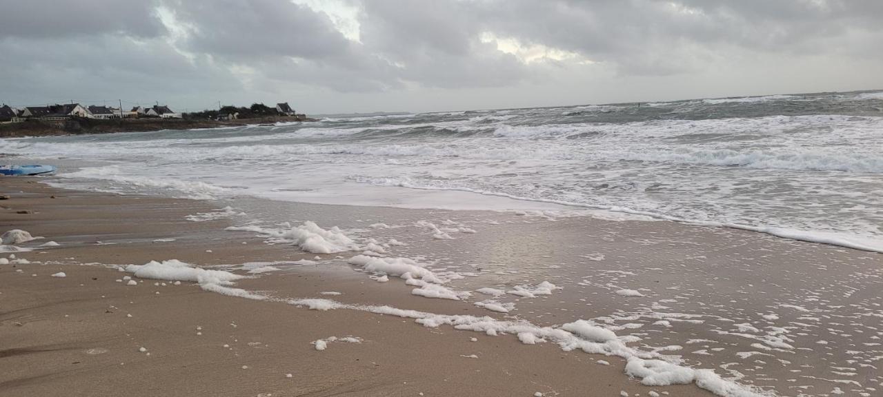 T3 “Hoedic“- 50 M De La Plage De Fort Bloque/Ploemeur Exteriör bild